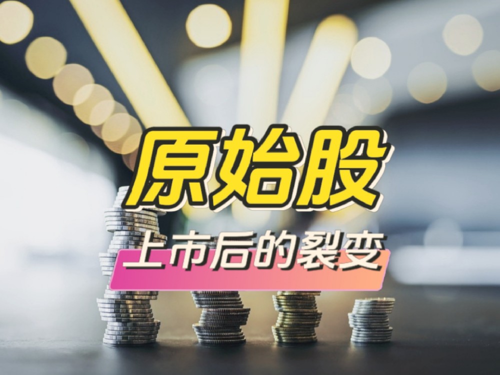 纳斯达克原始股上市后的财富裂变，早期股东如何赚得盆满钵满